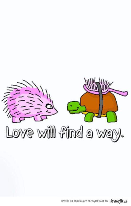 love will find a way