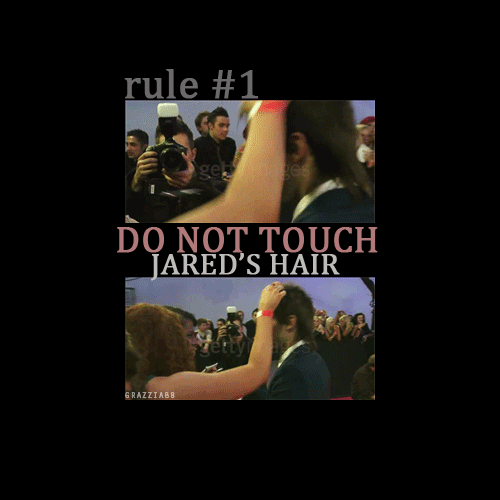 Don't Touch !