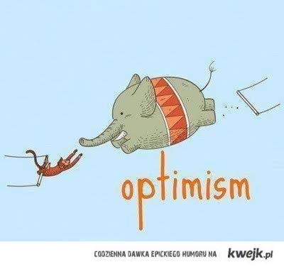 optymizm 