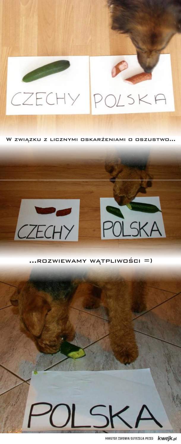 Polska vs. Czechy