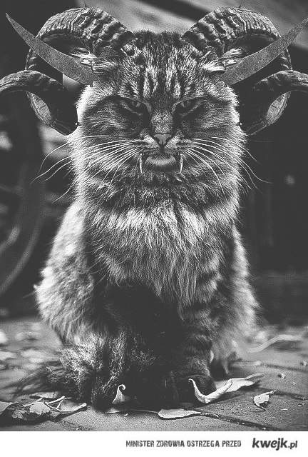Kot w służbie Szatana