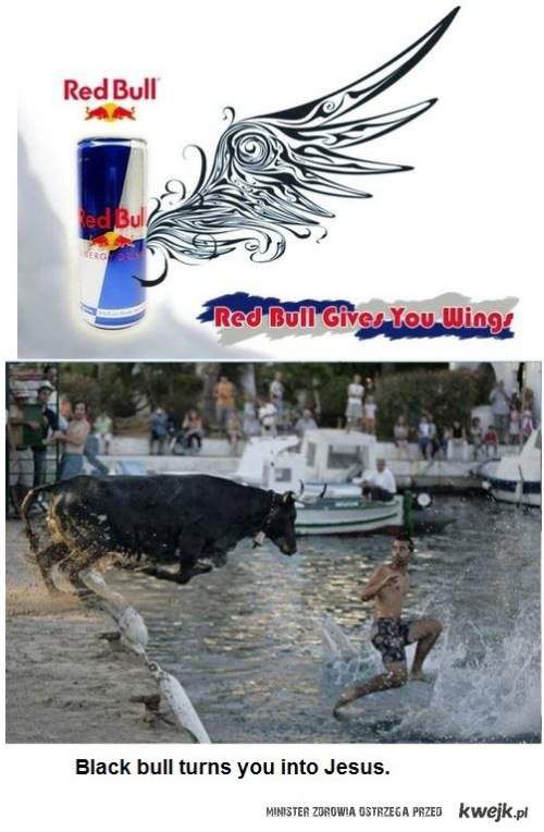 Red Bull - Black Bull