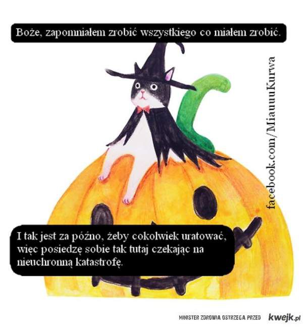 Obrazek dodany przez użytkowniczkę