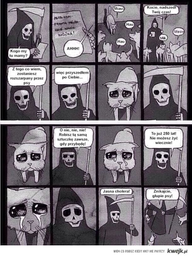 Obrazek dodany przez użytkowniczkę