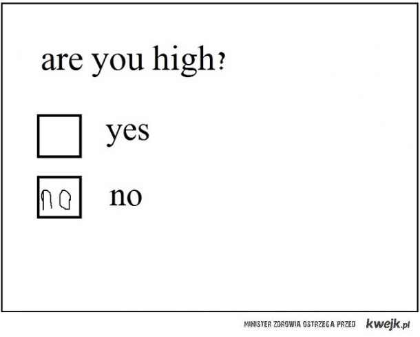 are you high?