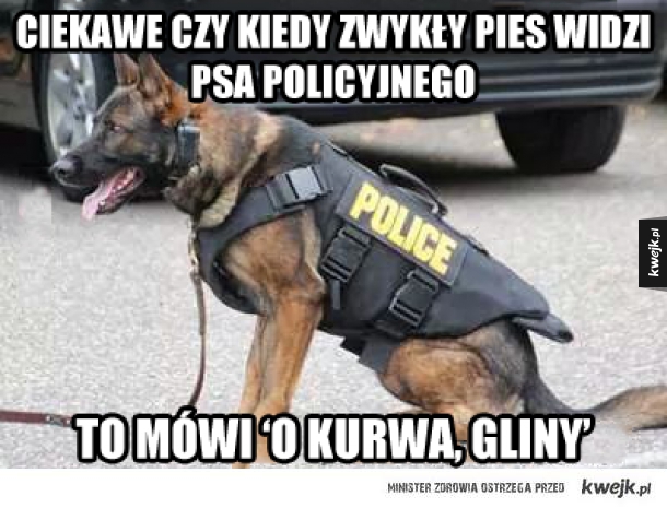 Psy policyjne