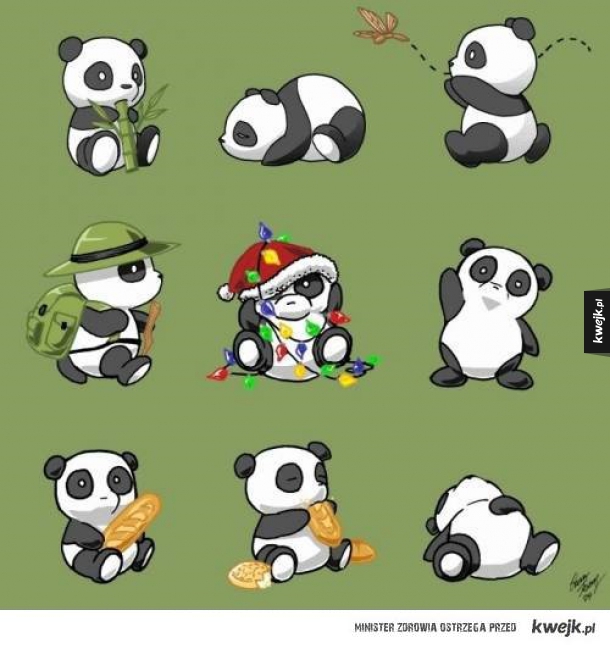 Jak być pandą