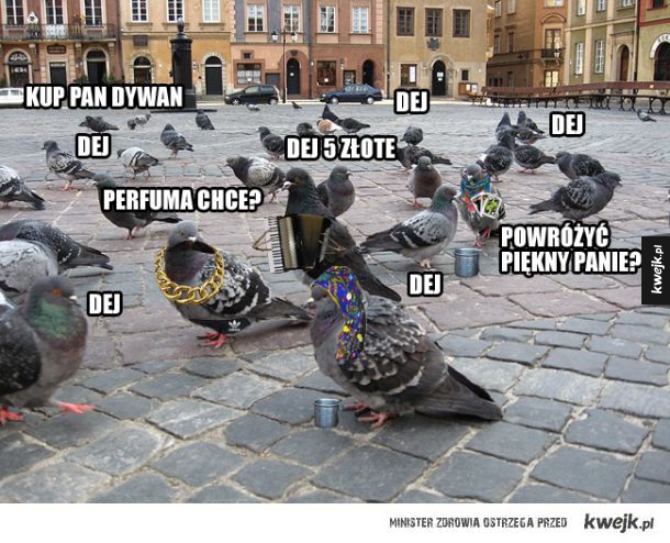 Te gołębie kogoś mi przypominają