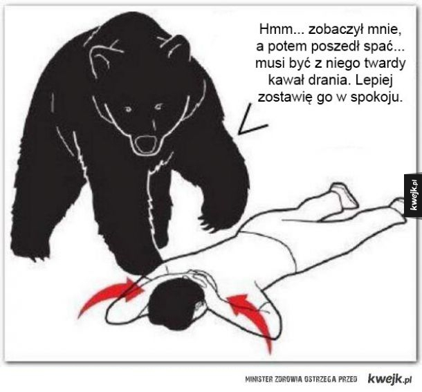 Co myśli niedźwiedź