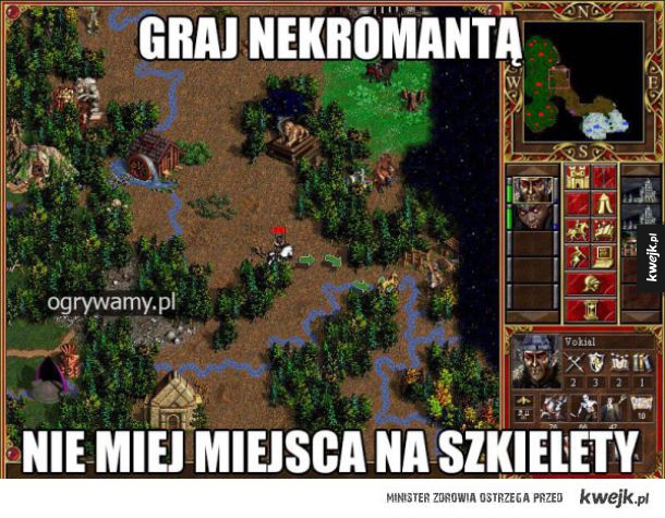 Problemy graczy Heroes of Might and Magic 3