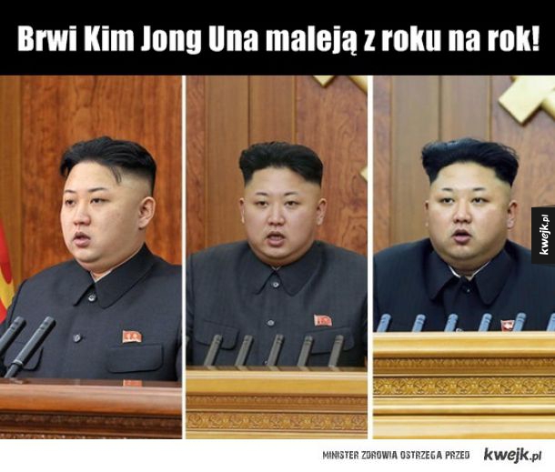 Brwi Kim Jong Una