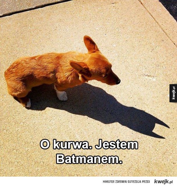 Batman! 