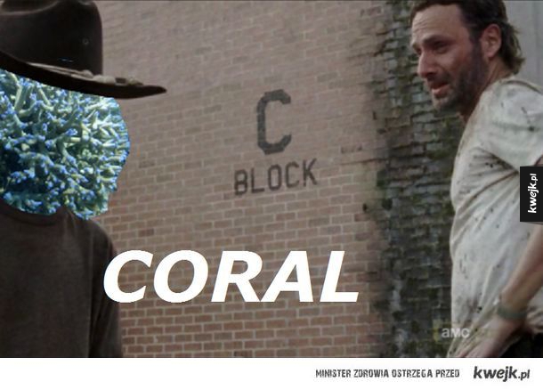 Zbiór dowcipów z Coralem