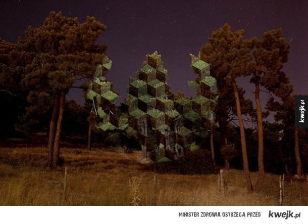 Javier Riera przemienia drzewa w surrealistyczne dzieła!