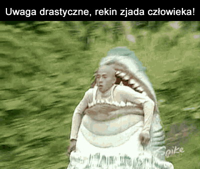 Rekin - Ministerstwo śmiesznych obrazków - KWEJK.pl