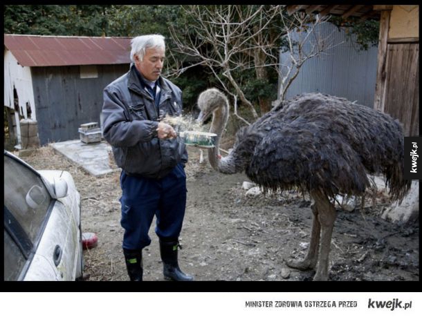 Mężczyzna, który wrócił do Fukushimy, aby zająć się porzuconymi zwierzętami