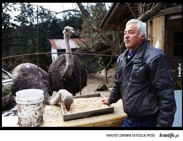 Mężczyzna, który wrócił do Fukushimy, aby zająć się porzuconymi zwierzętami