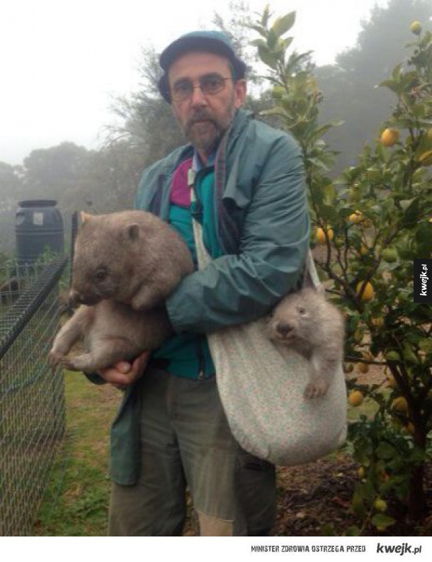 Doręczyciel wombatów