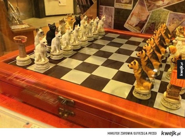 Świetne szachy