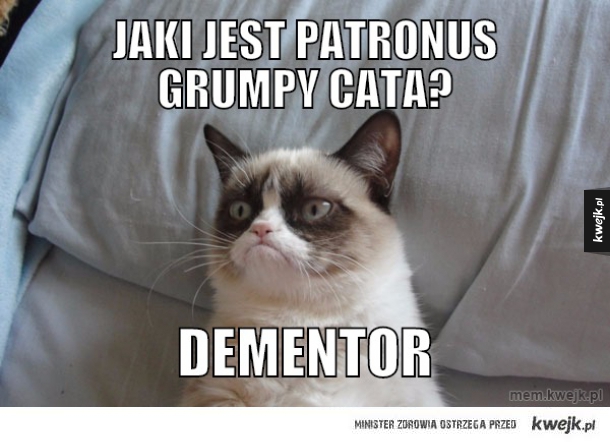 Jaki jest patronus grumpy cata?