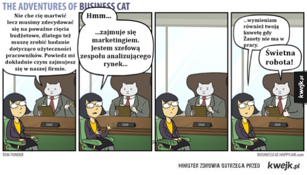 Przygody kota biznesmena