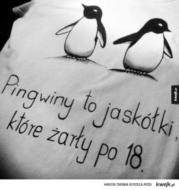 Pingwiny... 