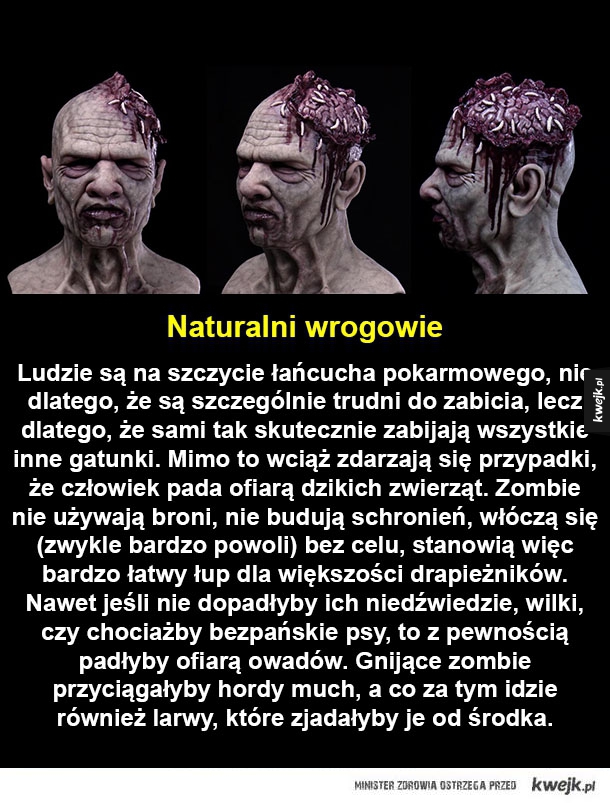 żałosne zombie