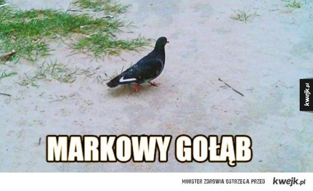 Markowo