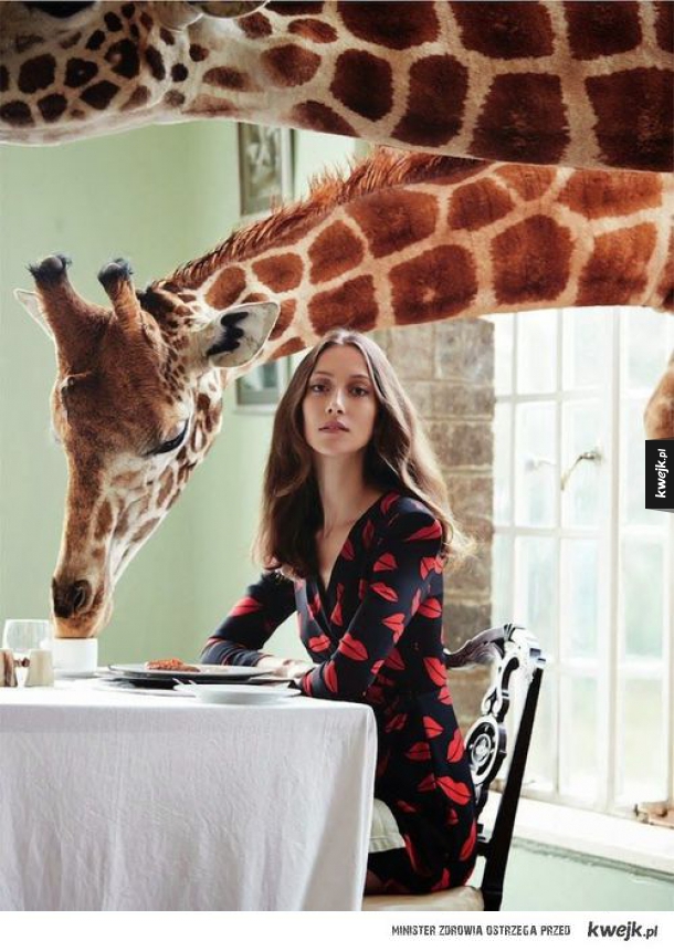 Zdjęcie z żyrafką pijącą kawę 
