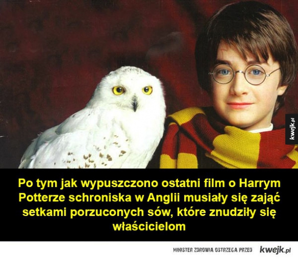 Garść ciekawostek o Harrym Potterze