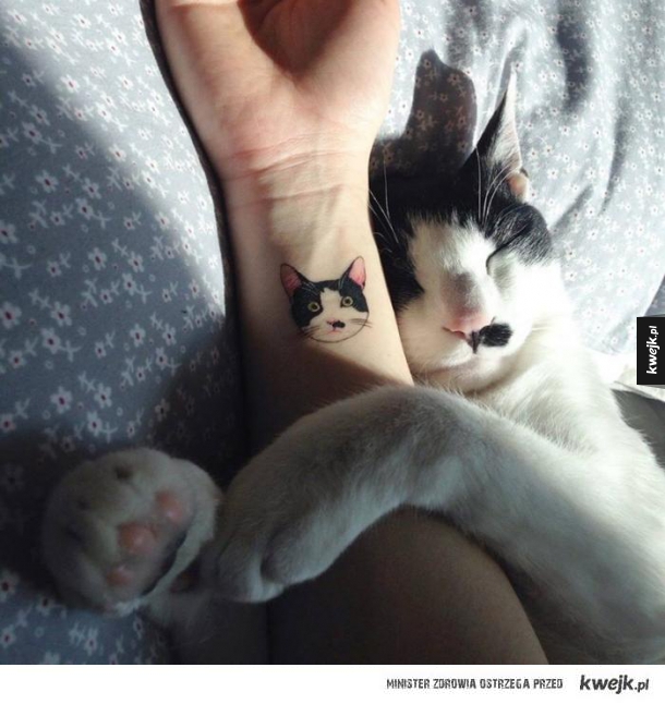Tatuaże z kotami