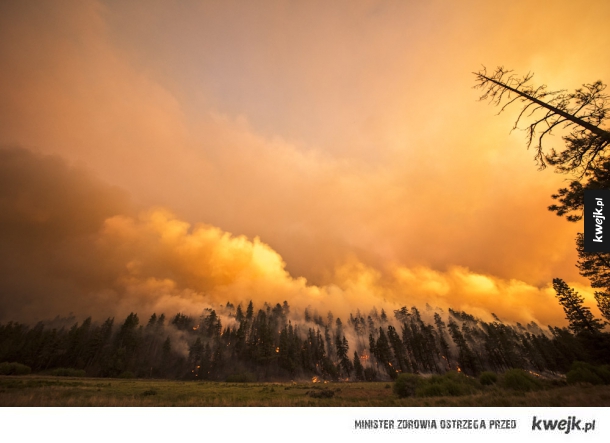 Płonące kalifornijskie lasy na fotografiach Stuarta Palleya