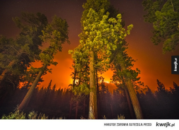 Płonące kalifornijskie lasy na fotografiach Stuarta Palleya
