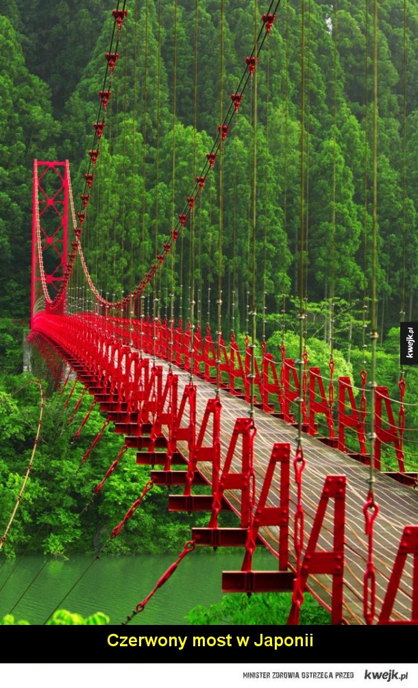Najbardziej ekstremalne mosty świata