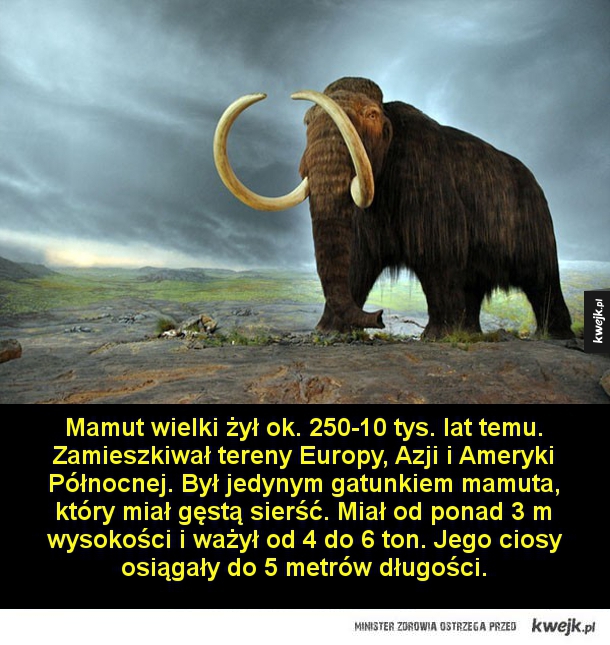 Największe wymarłe ssaki