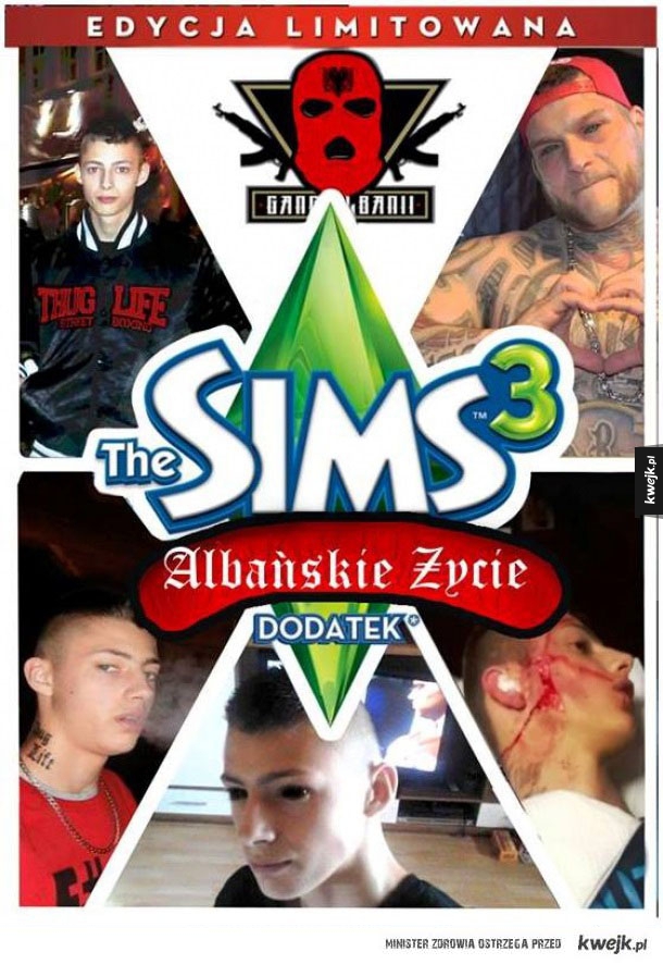 Nowy dodatek do Simsów