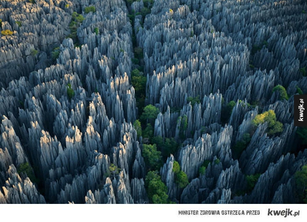 Skalny las z Madagaskaru