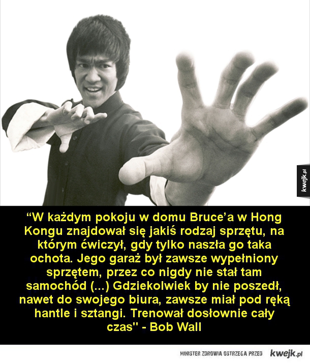 Bruce Lee w oczach innych