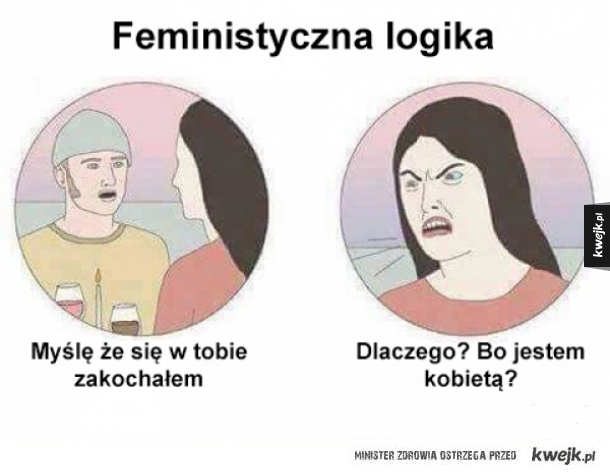 Feministyczna logika