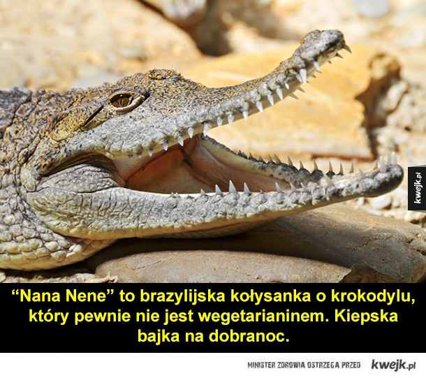Nana Nene" to brazylijska kolysanka o krokodylu, który pewnie nie jest wegetarianinem. Kiepska bajka na dobranoc.