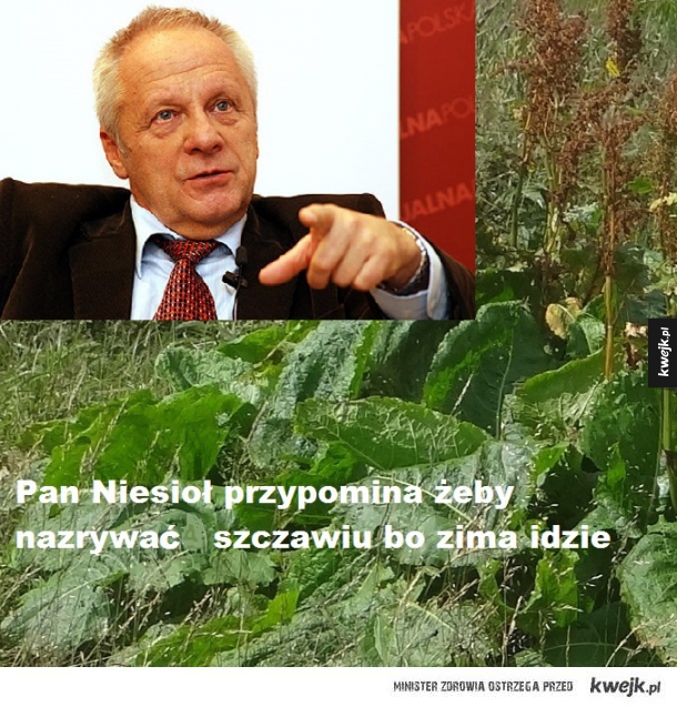 Niesioł