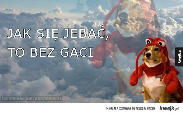 MĄDROŚCI PIESOHOMARA