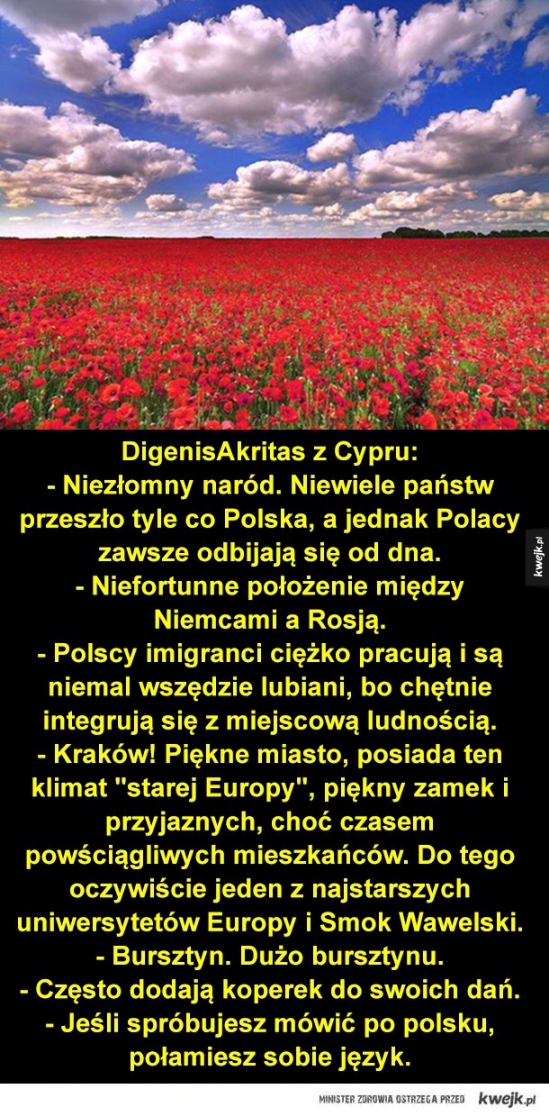 Polska oczami zagranicznych internautów