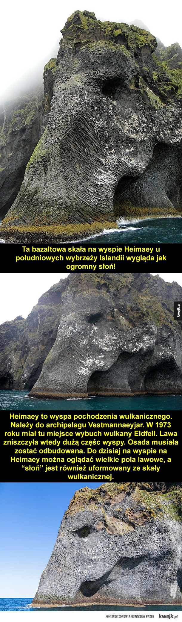 Ta bazaltowa skała na wyspie Heimaey u południowych wybrzeży Islandii wygląda jak ogromny słoń!  Heimaey to wyspa pochodzenia wulkanicznego. Należy do archipelagu Vestmannaeyjar. W 1973 roku miał tu miejsce wybuch wulkany Eldfell. Lawa zniszczyła wtedy duż