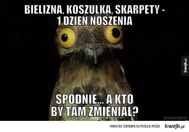Bielizna, koszulka, skarpety - 1 dzień noszenia