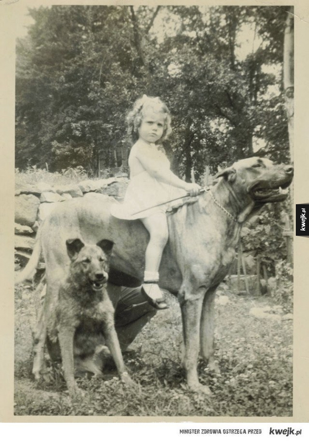 Stare portrety dzieci i ich psów