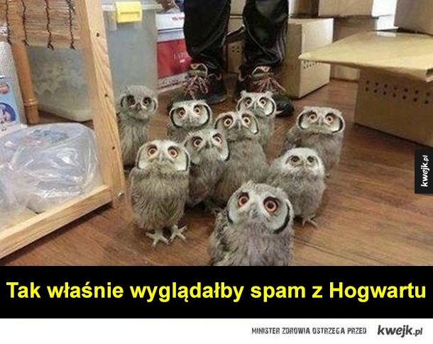 Spam z Hogwartu