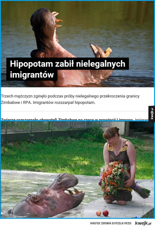 Dobrze że chociaż hipopotamy nie oglądają TVN-u