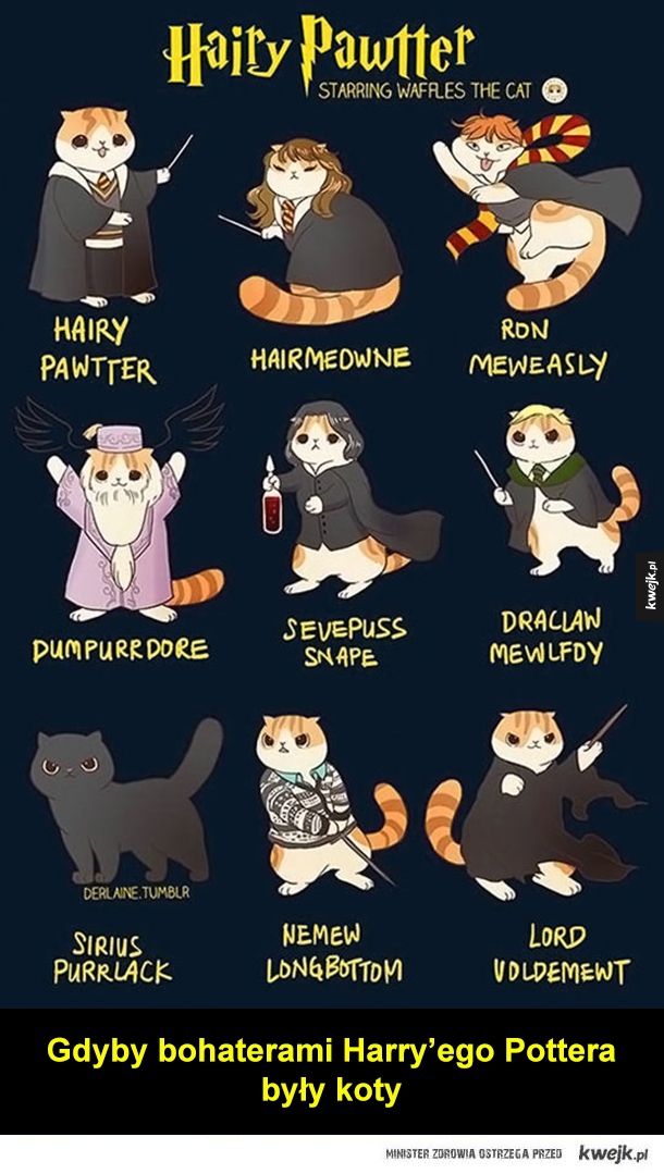 Koteły-czarodzieje
