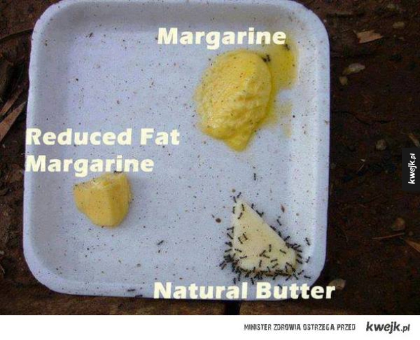 masło vs margaryna